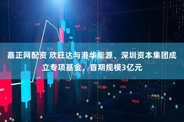 嘉正网配资 欣旺达与港华能源、深圳资本集团成立专项基金，首期规模3亿元